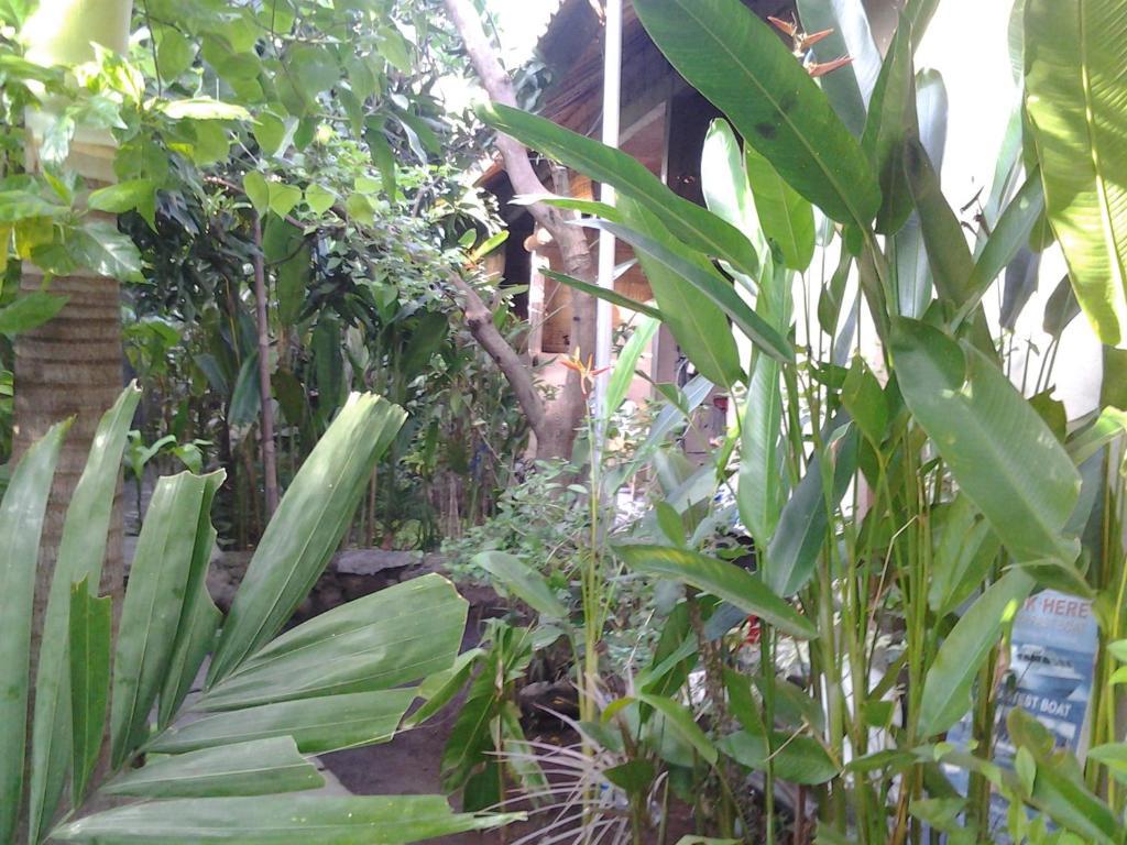 Solaluna Beach Homestay Amed Dış mekan fotoğraf